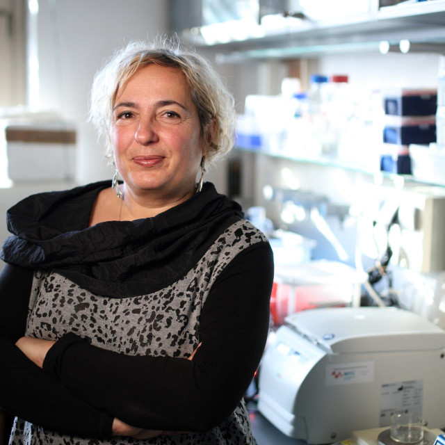 Profesorica Zrinka Ljubešić