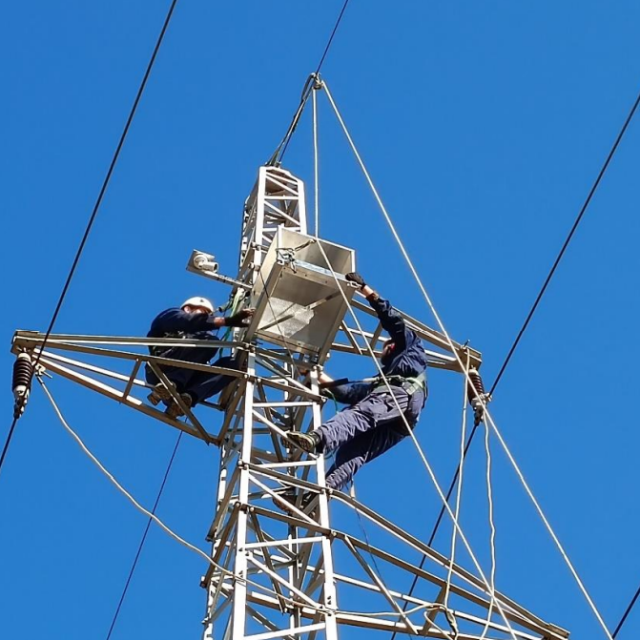 Postavljanje umjetnih gnijezda 