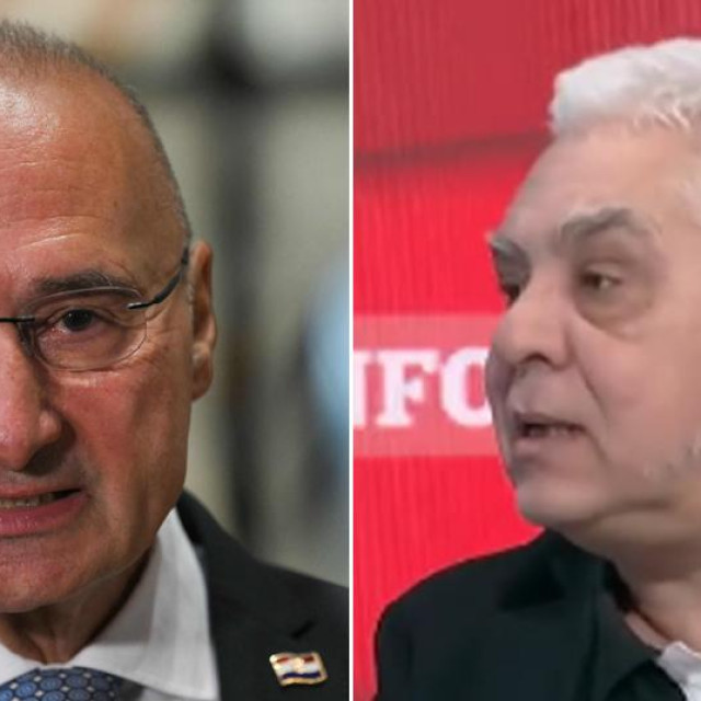 Gordan Grlić Radman, Boris Bratina