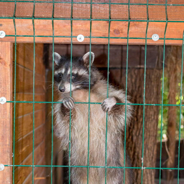 Ilustrativna fotografija