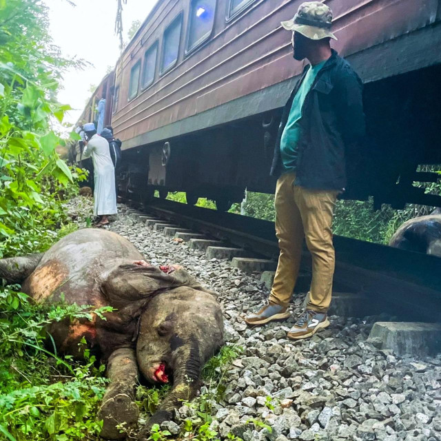 Ilustrativna fotografija