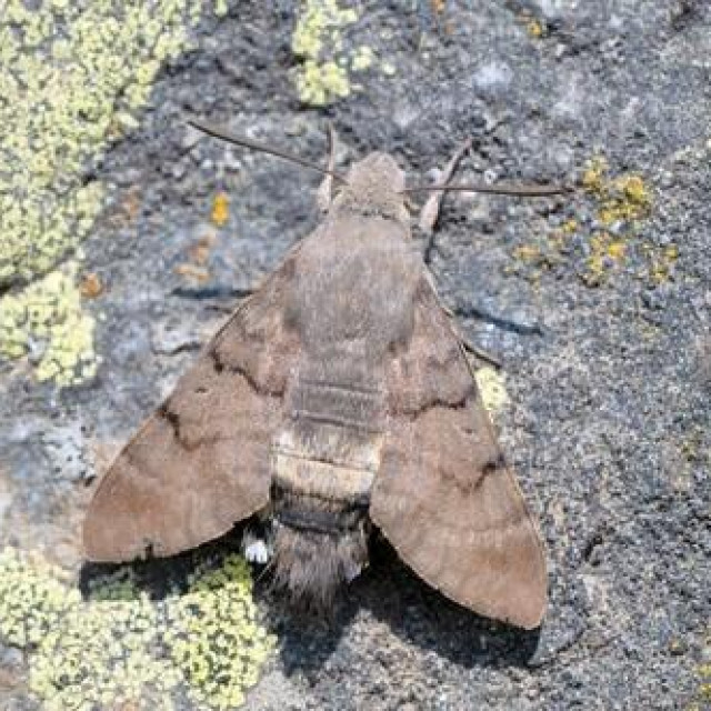 Ilustrativna fotografija