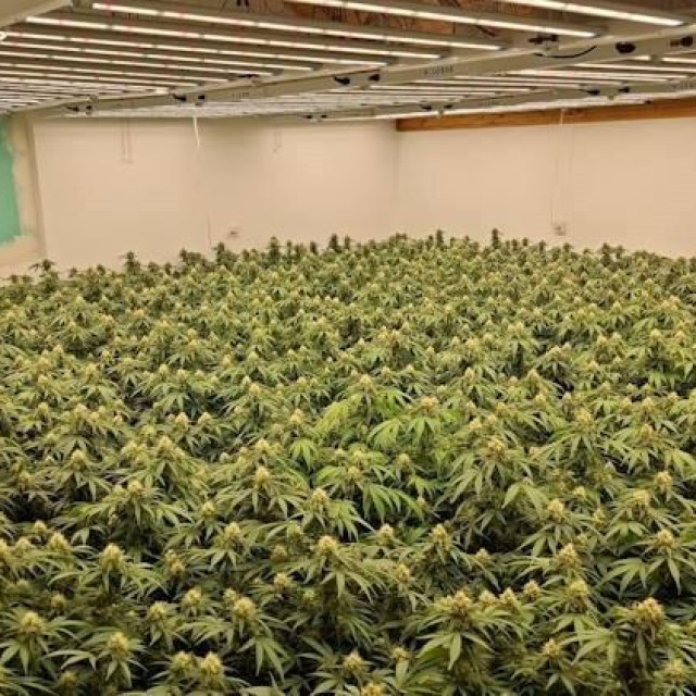 Zapljena u Sesvetama