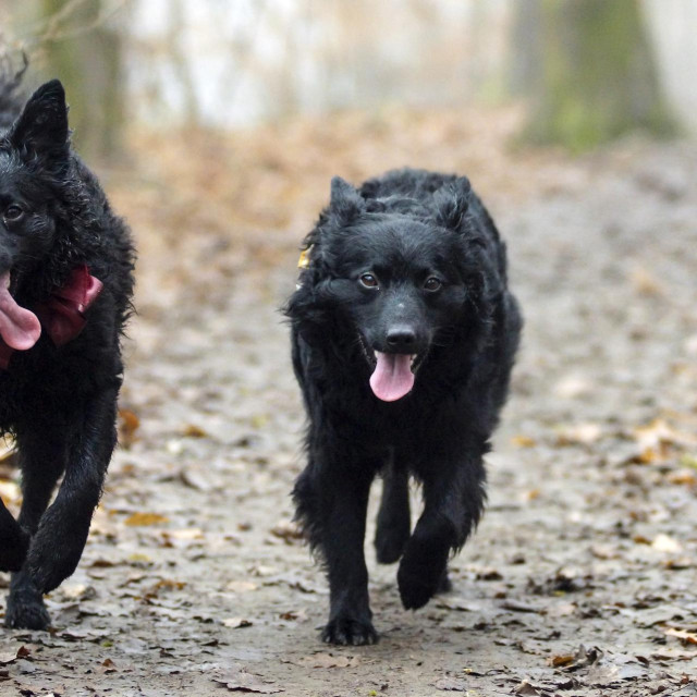 Ilustrativna fotografija