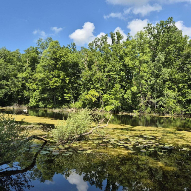 Ilustrativna fotografija