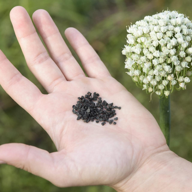 Ilustrativna fotografija