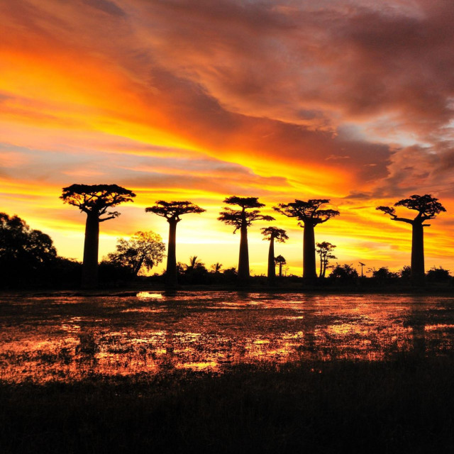 Madagaskar, zalazak sunca