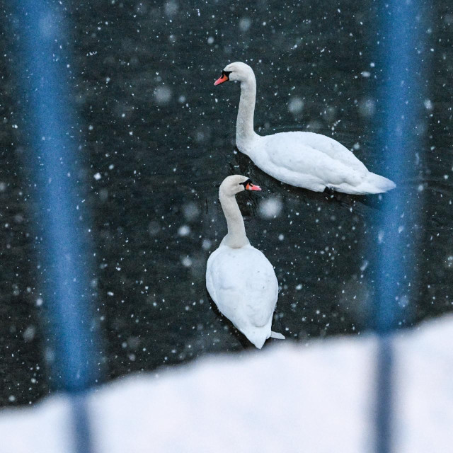 Ilustrativna fotografija
