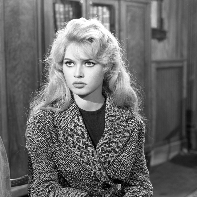 Brigitte Bardot, U slučaju nesreće