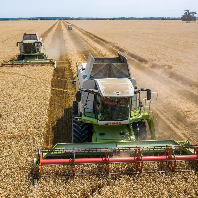 U sljedećem razdoblju očekuje se umjeren, ali stabilan rast sektora, predvođen investicijama u modernizaciju proizvodnje, digitalizaciju, energetsku učinkovitost i automatizaciju
