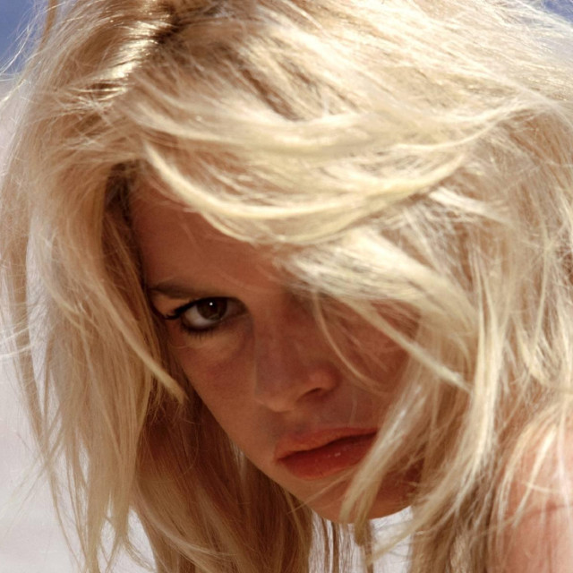 Brigitte Bardot