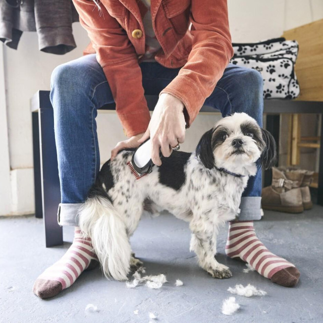 Ilustrativna fotografija