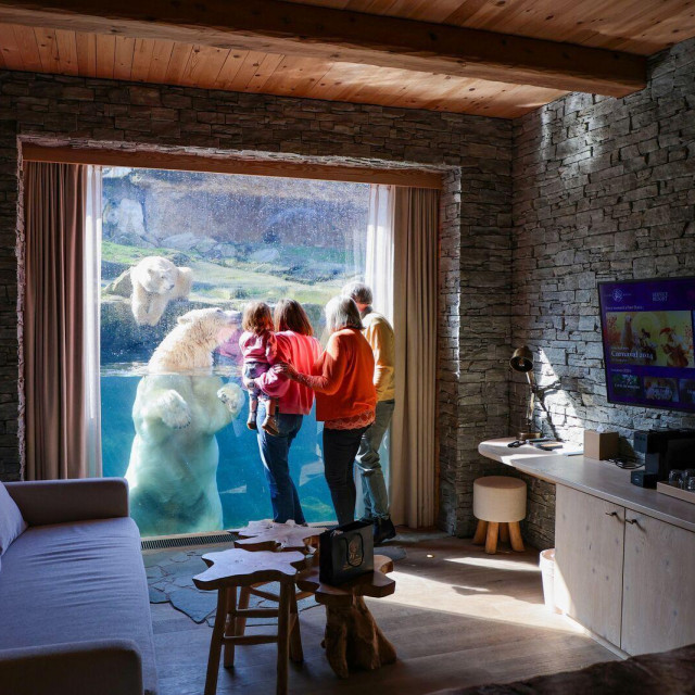 Životinje možete promatrati iz vlastite sobe