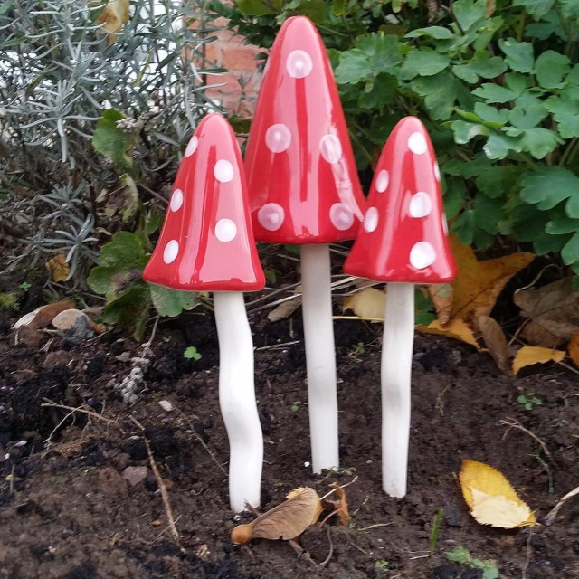 Tinkling Toadstools najbolje dolaze do izražaja među biljkama koje evociraju bajkovitu estetiku, stvarajući romantičan, ali nenametljiv vizualni dojam.