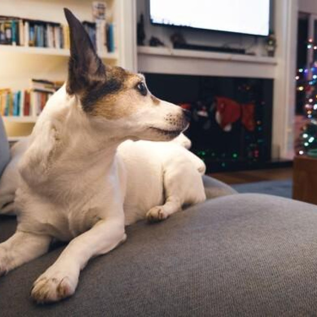 Ilustrativna fotografija