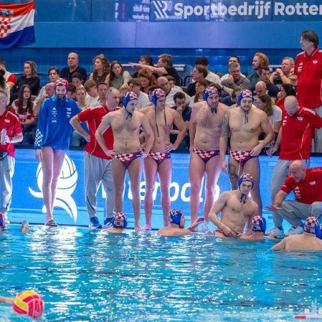 Barakude u Rotterdamu