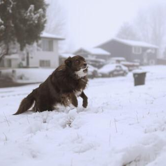 Ilustrativna fotografija