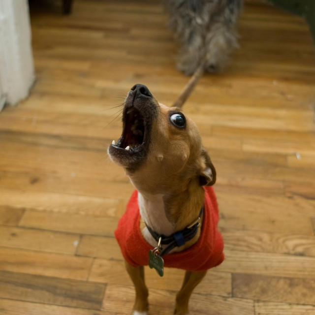 Ilustrativna fotografija