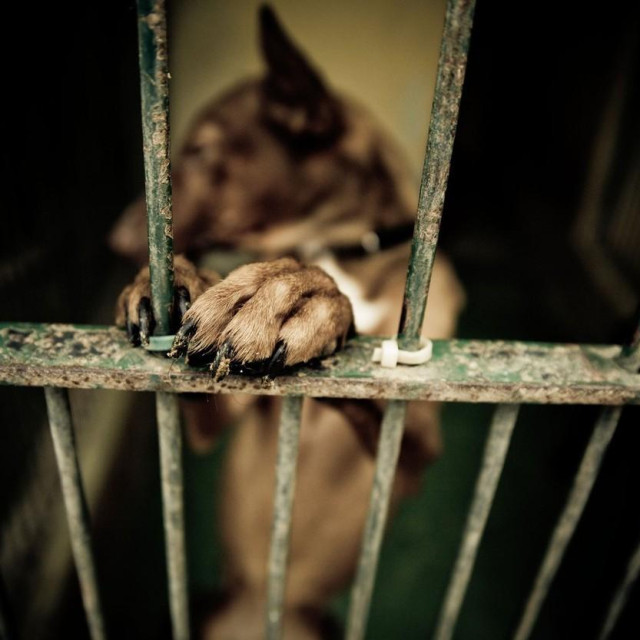 Ilustrativna fotografija