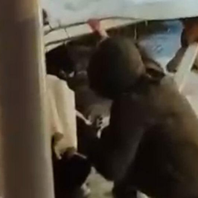 Spašavanje ljudi iz šatora