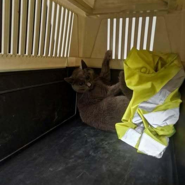 Sarajevo International Airport