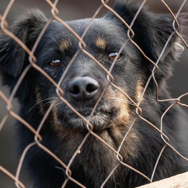 Ilustrativna fotografija