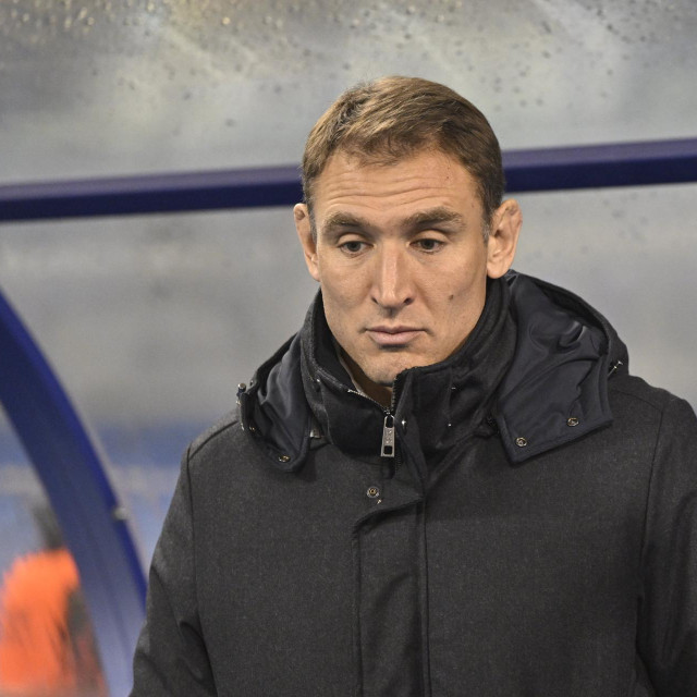 Nikica Jelavić (arhiva)