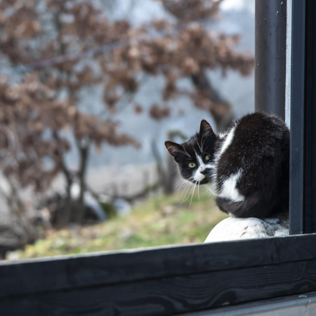 Ilustrativna fotografija