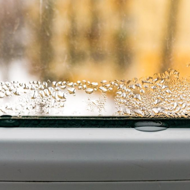 Kondenzacija može rezultirati pojavom plijesni