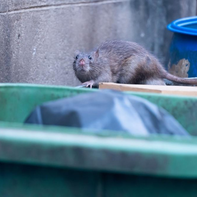 Kante za otpad uvijek držite dobro zatvorenima