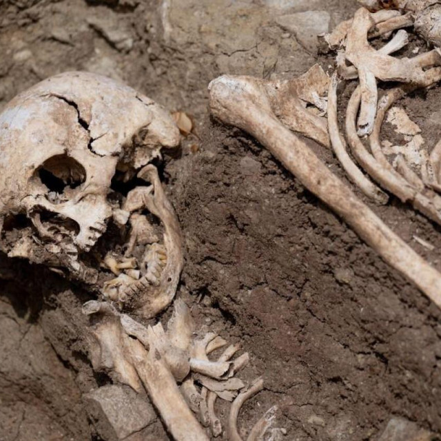 ilustrativna fotografija