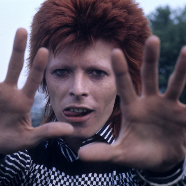 David Bowie