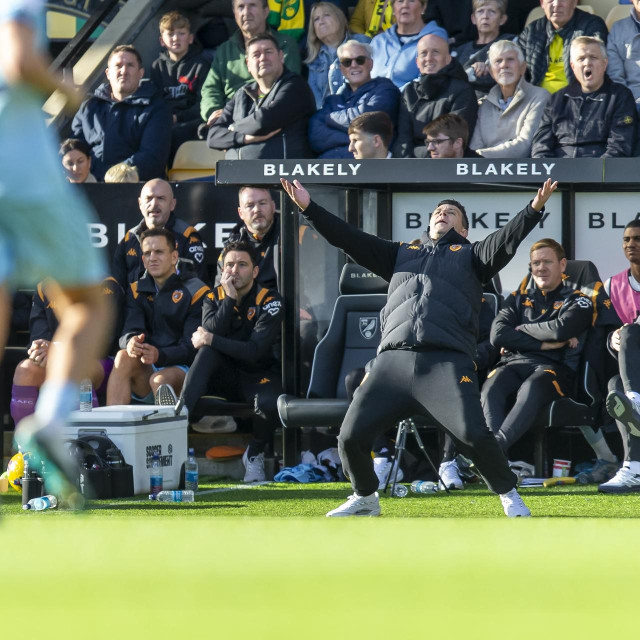 Sergej Jakirović emotivno proživljava događaj na terenu