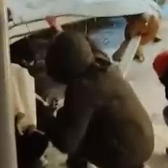 Spašavanje ljudi iz šatora