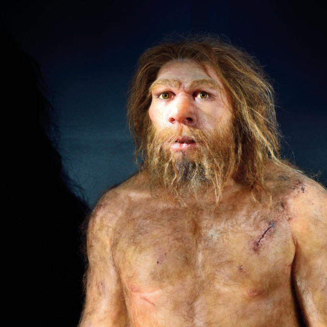 Prikaz neandertalca, ilustracija