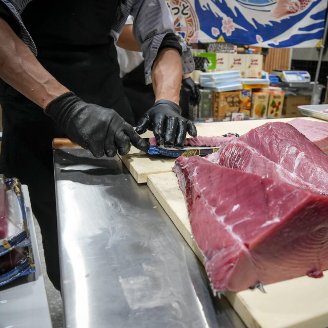 Ilustracija: Rezanje tune za sashimi