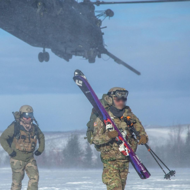 Ilustracija: Američke Zelene beretke