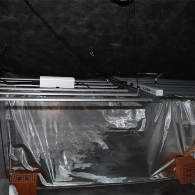 Laboratorij za marihuanu pronađen u kuću u Plaškom