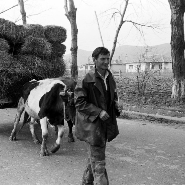 Roman ”Svatko poludi na svoj način” Stefana Çapalikua je oblikovan poput albuma iz života autorova rodnog Skadra. Na slici: prizor iz Skadra početkom 1980-ih