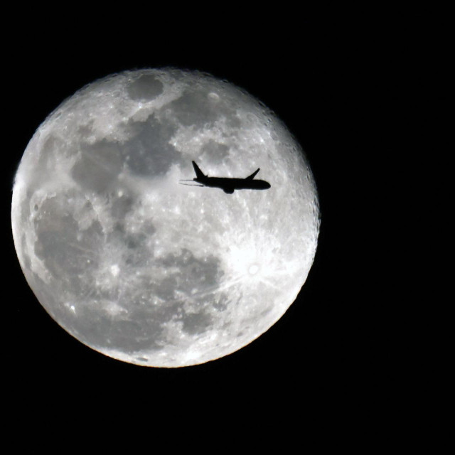Posjetitelji bi za vrijeme boravka na Mjesecu šetali uokolo, uživali u vožnji roverom, čak i u golfu