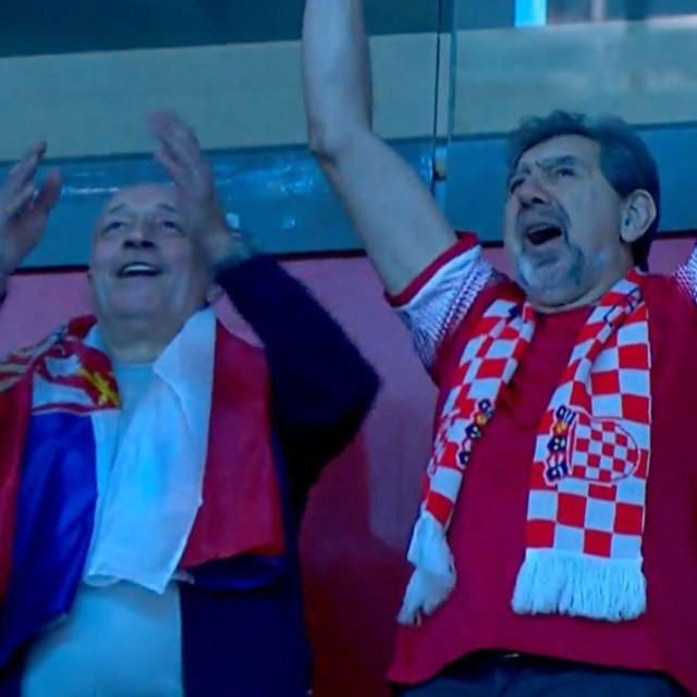 Navijači u beogradskoj Areni nakon pogotka Hrvatske za 3-3