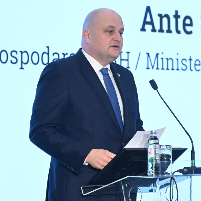 Ministar gospodarstva Ante Šušnjar
