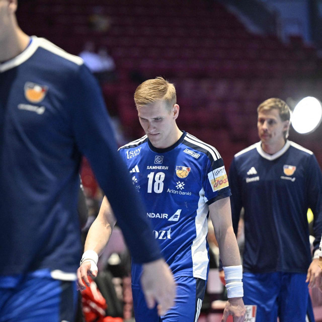 Igrači Islanda