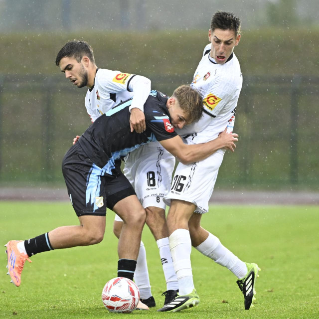 Ante Kavelj
