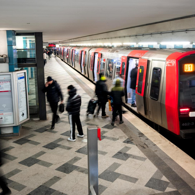 31020590