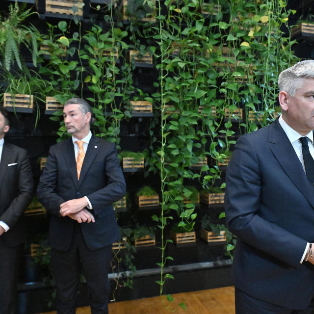 Siniša Topalović, Denis Ivošević, Boris Miletić