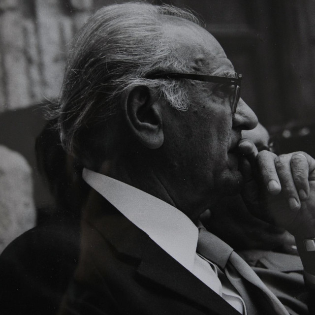 Ivo Tijardović
 
