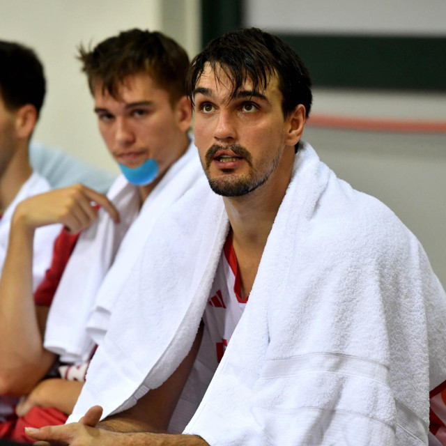 Dario Šarić