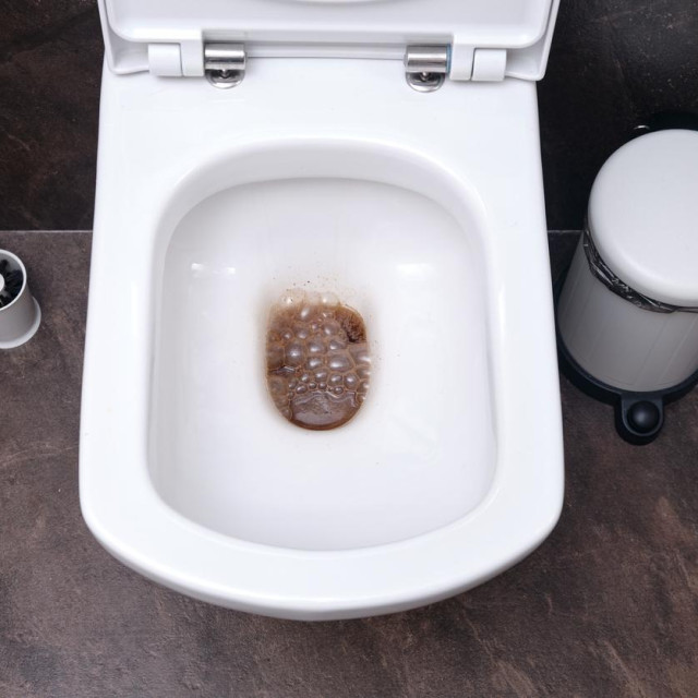 Ilustracija kava u WC školjci