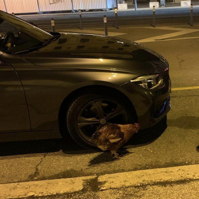 Šetnja na Trgu Republike Hrvatske